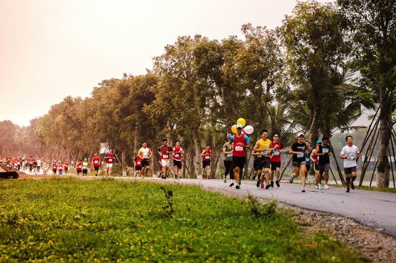 Cung đường chạy Ecopark với một bên là thảm cỏ hoa vàng ngút ngàn, một bên là hồ nước trong xanh