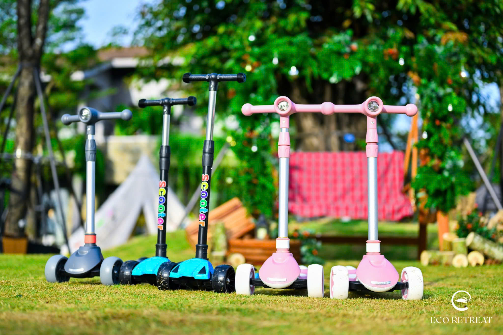 Sân chơi tự nhiên cho mọi trải nghiệm ngoài trời giữa rừng xanh.