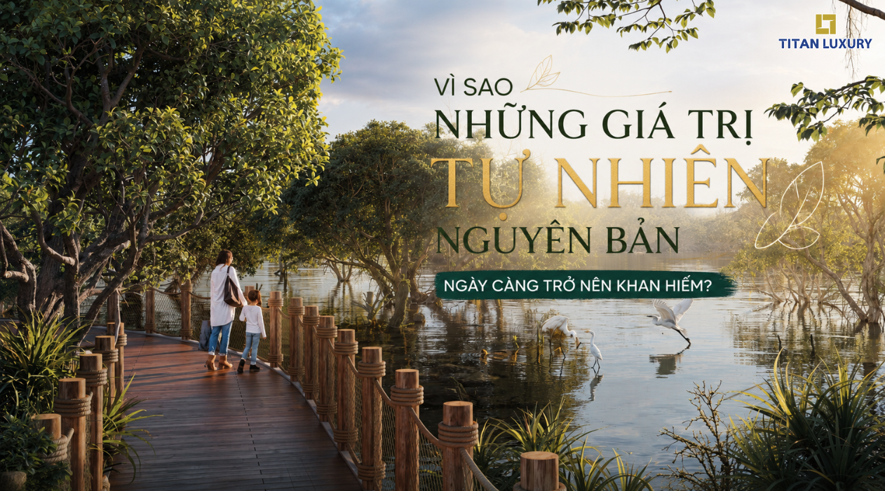 Khi quỹ đất ven biển ngày càng khan hiếm, những hệ sinh thái nguyên bản đang trở thành tài sản giá trị nhất của tương lai