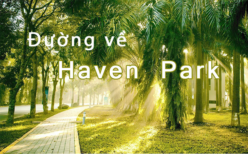 Con đường về Haven Park ngập tràn ánh nắng và cây xanh