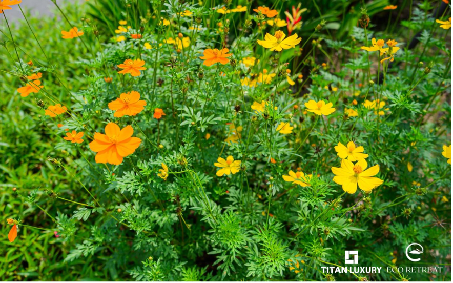 Một lát cắt mùa xuân tại Eco Retreat – nơi thiên nhiên được chăm chút như một phần của nghệ thuật sống.