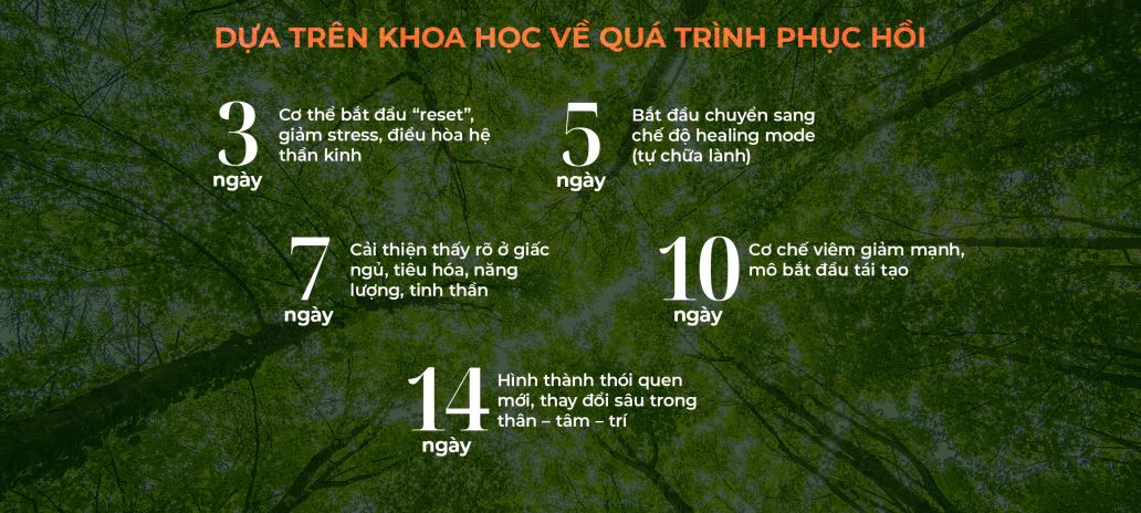 Các liệu trình tại Chiva Som được hình thành từ dữ liệu của hàng trăm nghìn khách hàng thực tế