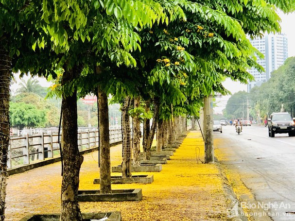 đường Nguyễn Sỹ Sách kéo dài Ecopark Vinh