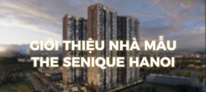 THĂM QUAN NHÀ MẪU THE SENIQUE HANOI - CAPITALAND