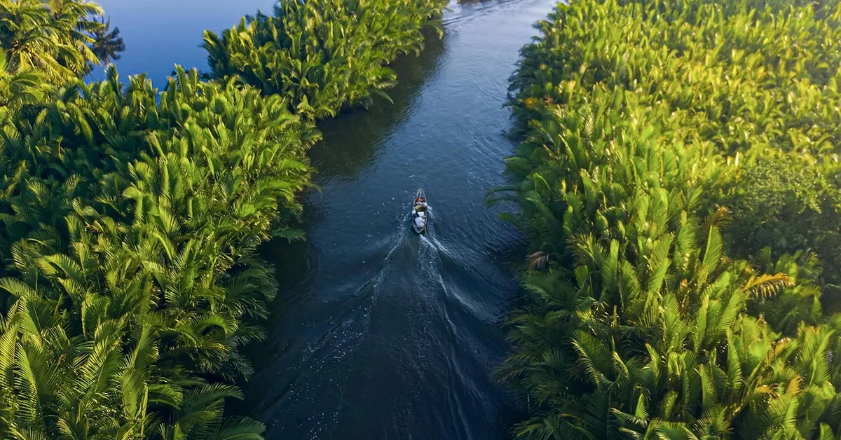 Rừng dừa - nơi giá trị quê hương, con người và nếp sống địa phương được tiếp nối từ thế hệ này sang thế hệ khác