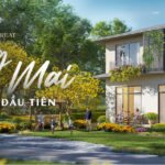 Rừng Mai Phân Khu Mùa Lễ Hội Eco Retreat