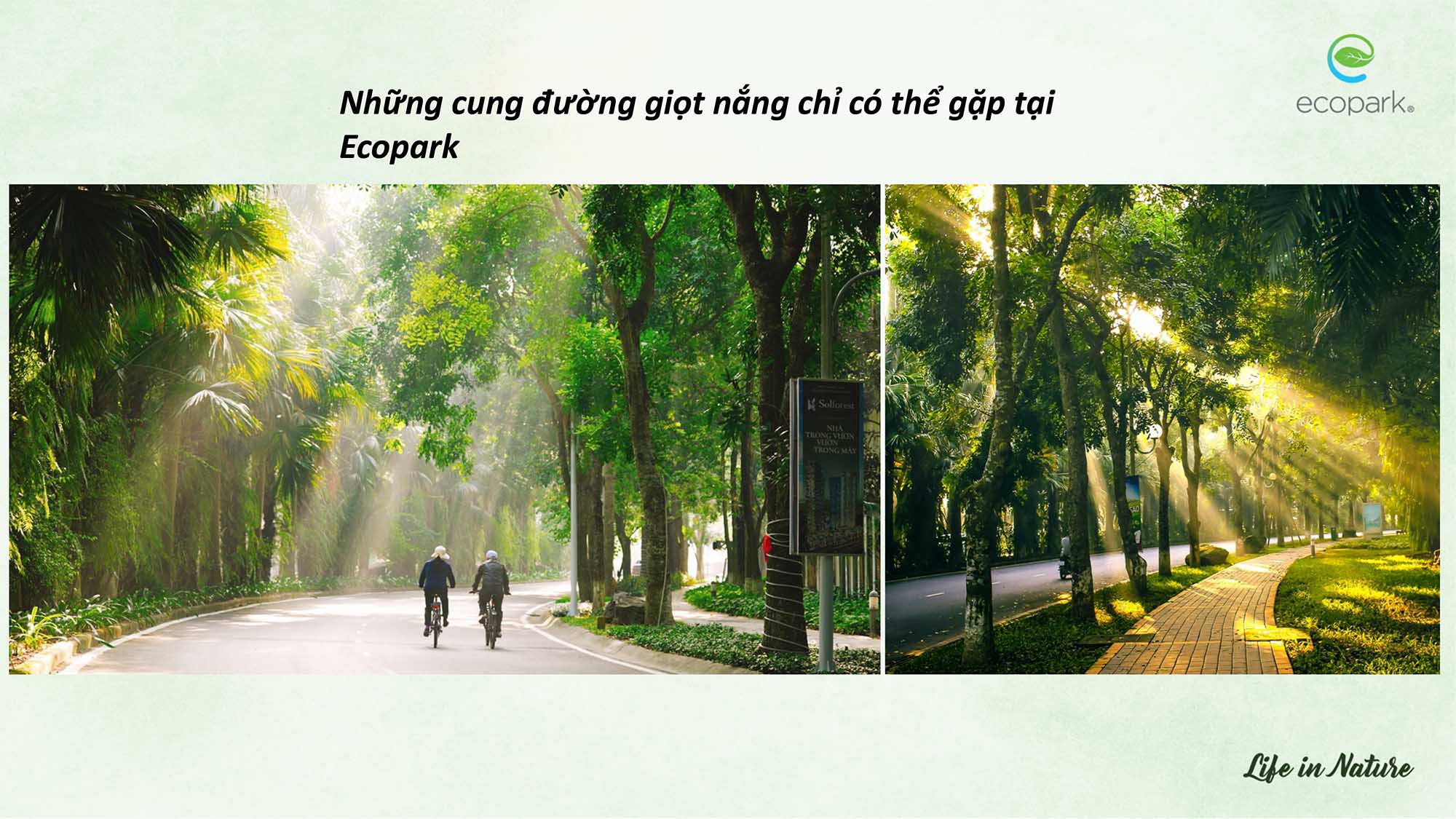 su menh xanh ecopark
