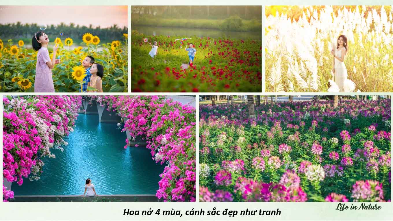 su menh phu xanh ecopark